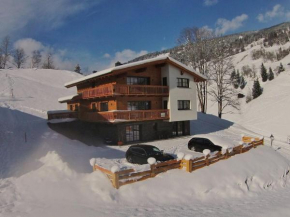 Chalet in ski area in Saalbach-Hinterglemm